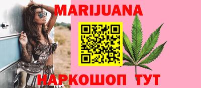 крисы Пенза