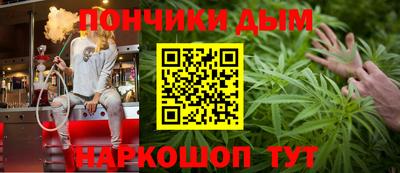 крисы Пенза