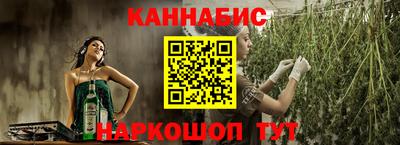 крисы Пенза