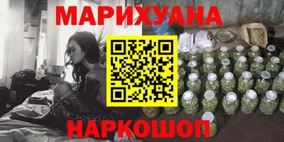 крисы Пенза